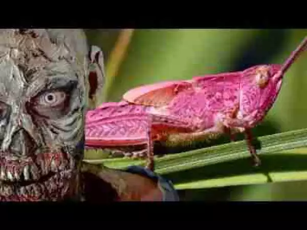 Video: STRANGE Pink Creatures and Zombies